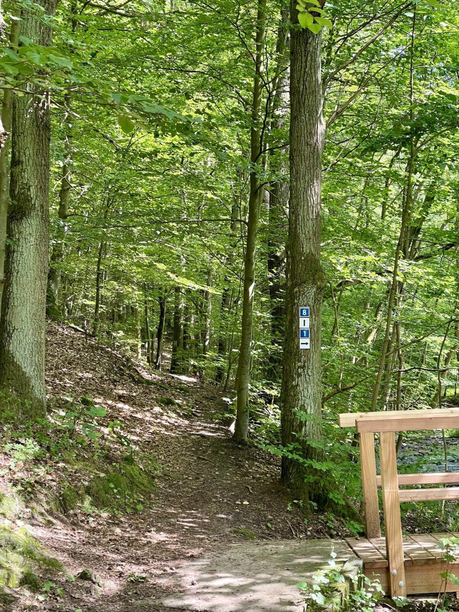Landhotel Hubertus Unterelsbach Extérieur photo